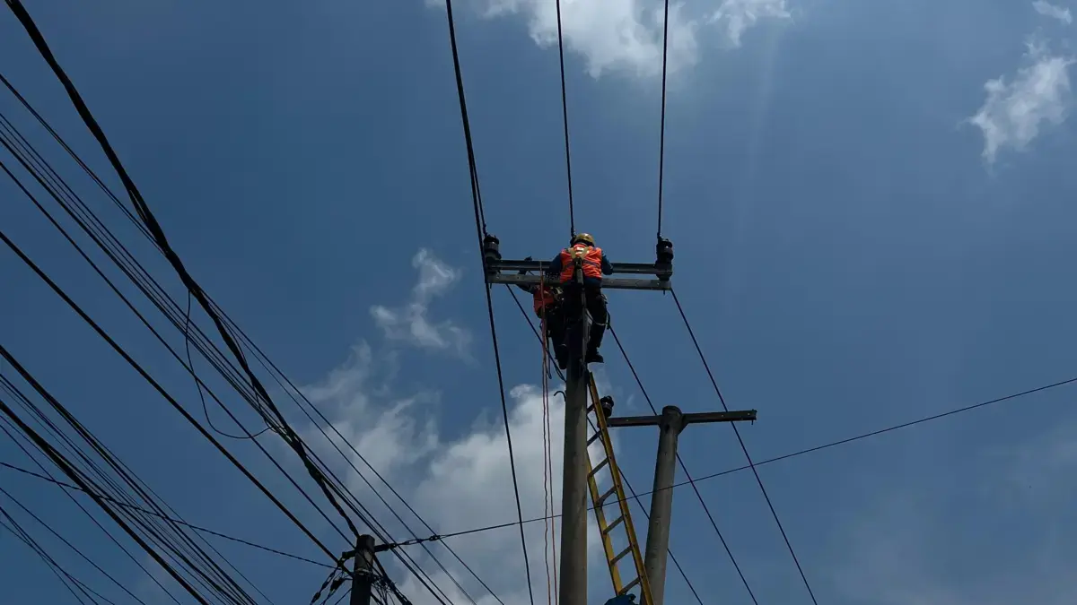 PLN melaksanakan kegiatan pemeliharaan jaringan listrik