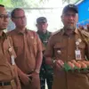 ayam petelur