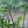 Prediksi Cuaca di Jabar.