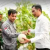 Purwakarta