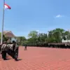 Aparat gabungan