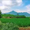 Kecamatan Jonggol