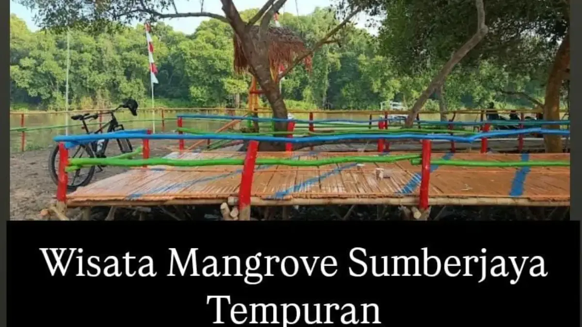 Wisata Mangrove Sumberjaya Kecamatan Tempuran