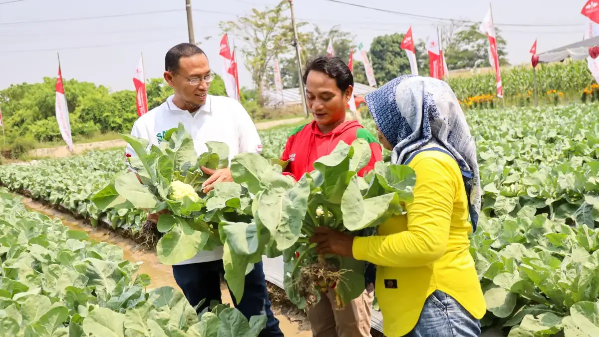 Ratusan Petani Pelajari Teknologi Pertanian Modern di Karawang.