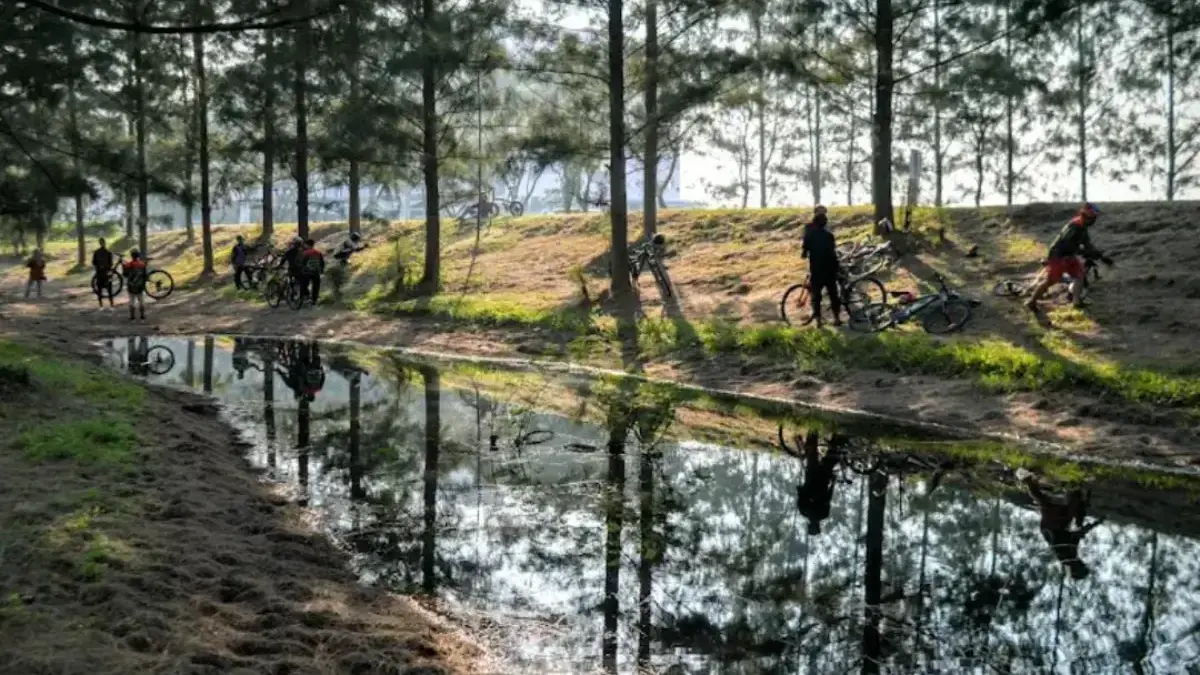 Hutan Pinus Deltamas
