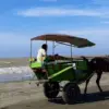 Pantai Sedari Karawang