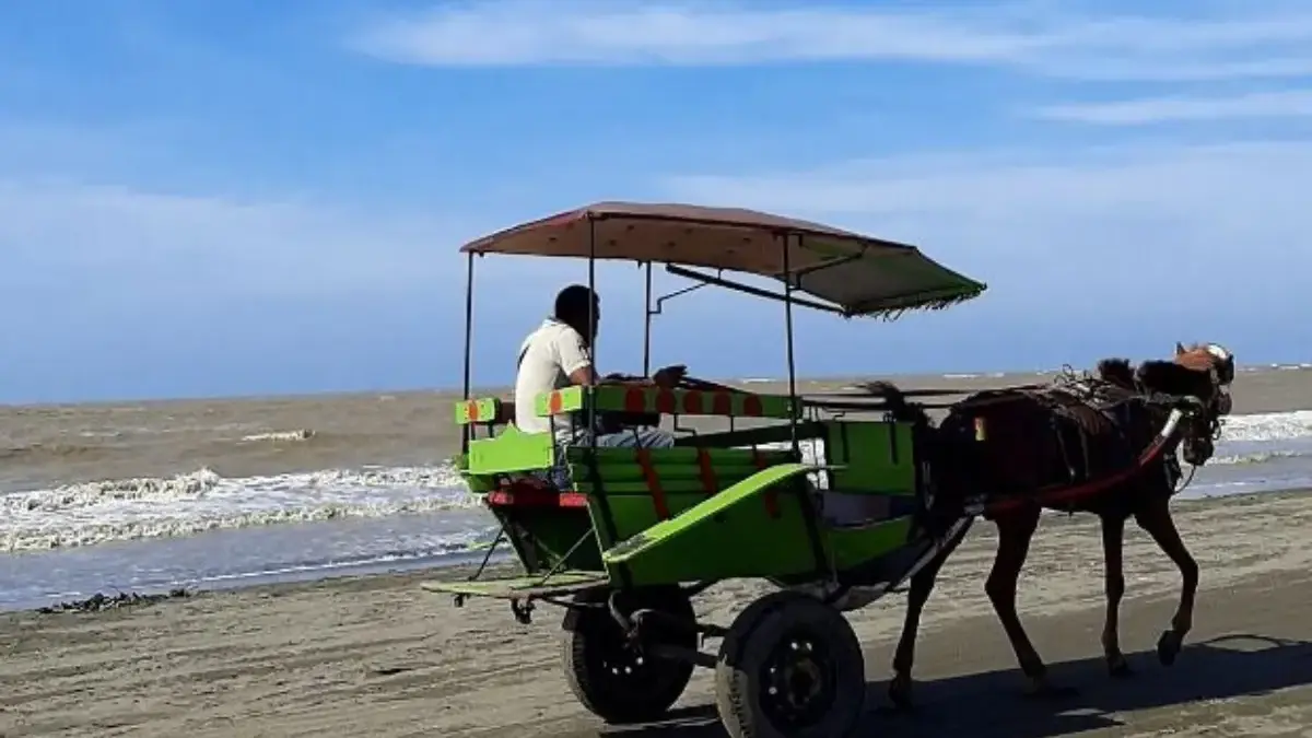 Pantai Sedari Karawang