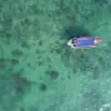 gugus terumbu karang sendulang