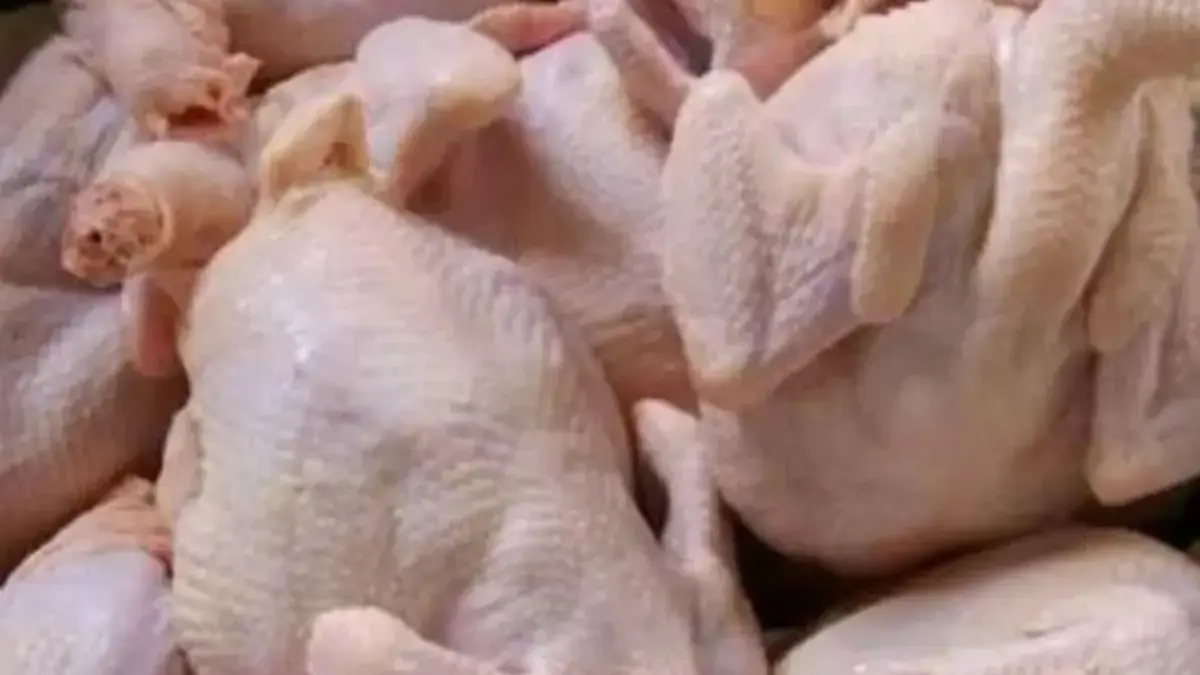 Harga Ayam di Karawang.