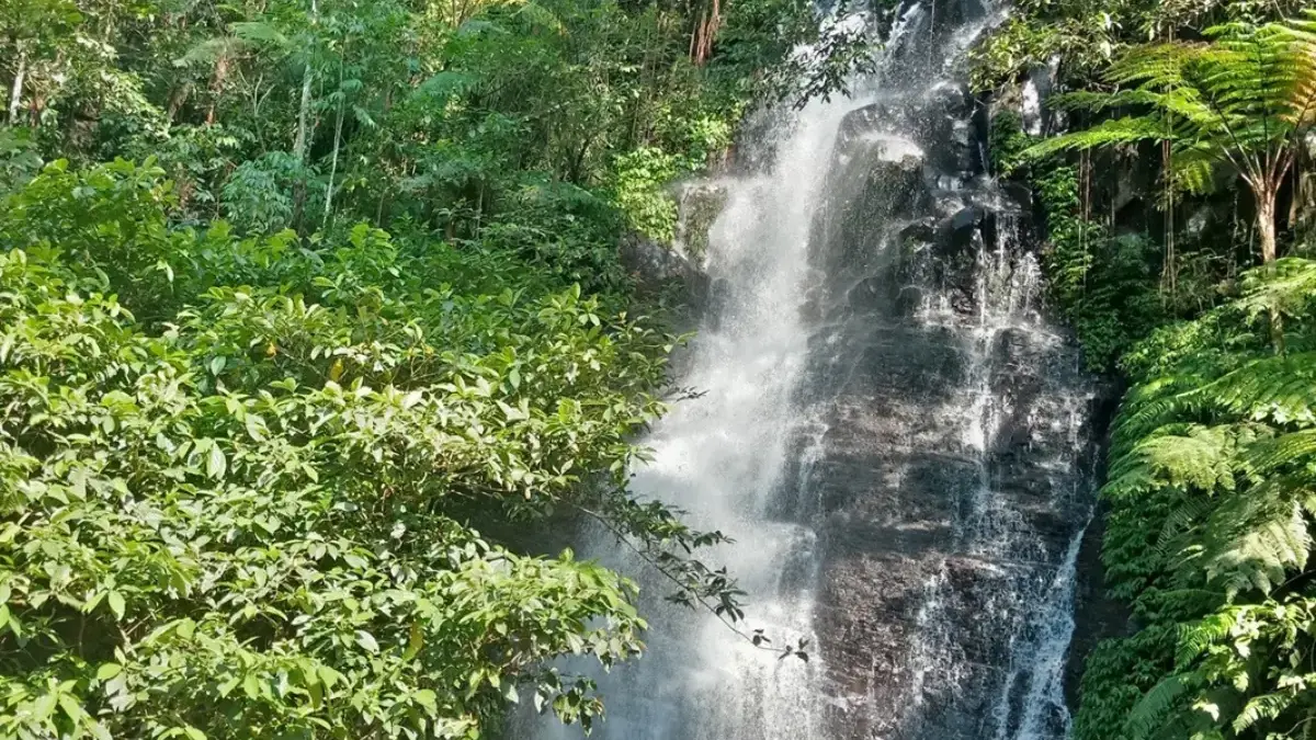 curug cipurut purwakarta