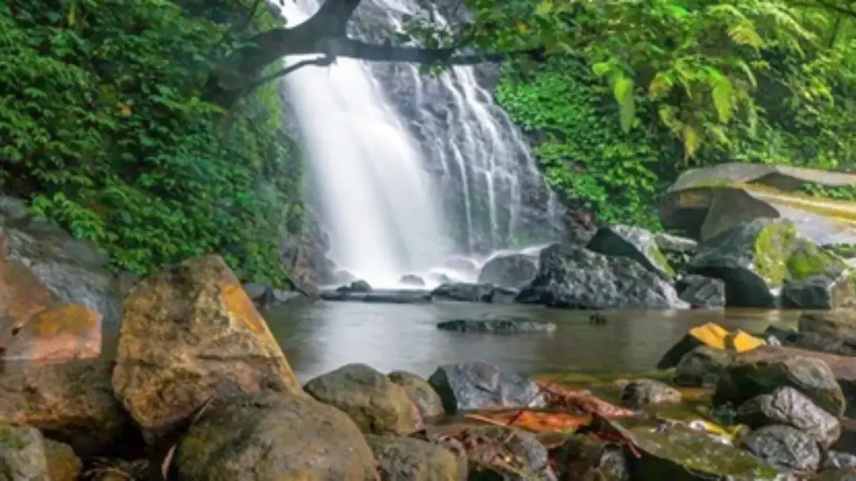 curug cipurut wanasaya
