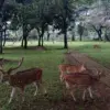 taman di bekasi
