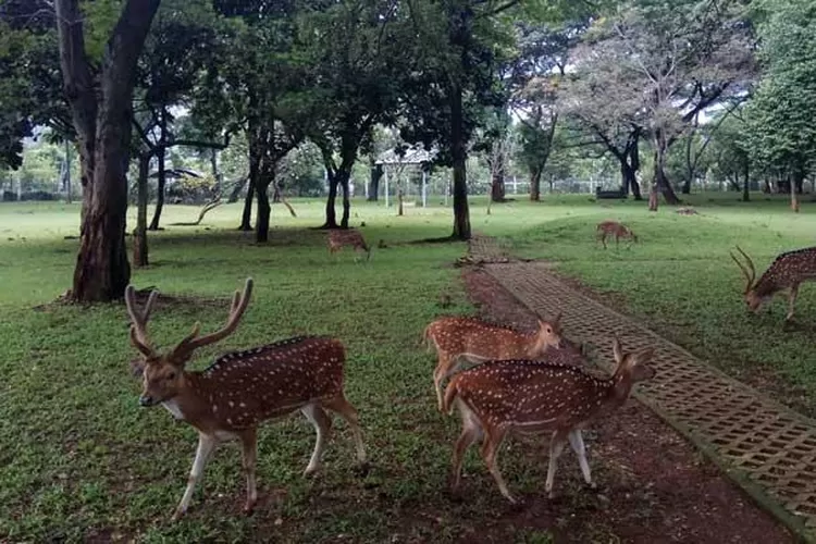taman di bekasi