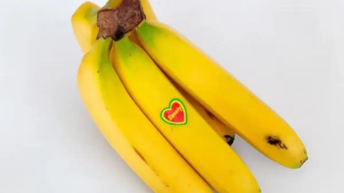 Manfaat Konsumsi Pisang Setiap Hari, Buah Murah dengan Segudang Khasiat untuk Tubuh