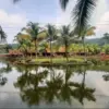 wisata kampung turis karawang