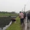 Dampak kebakaran.