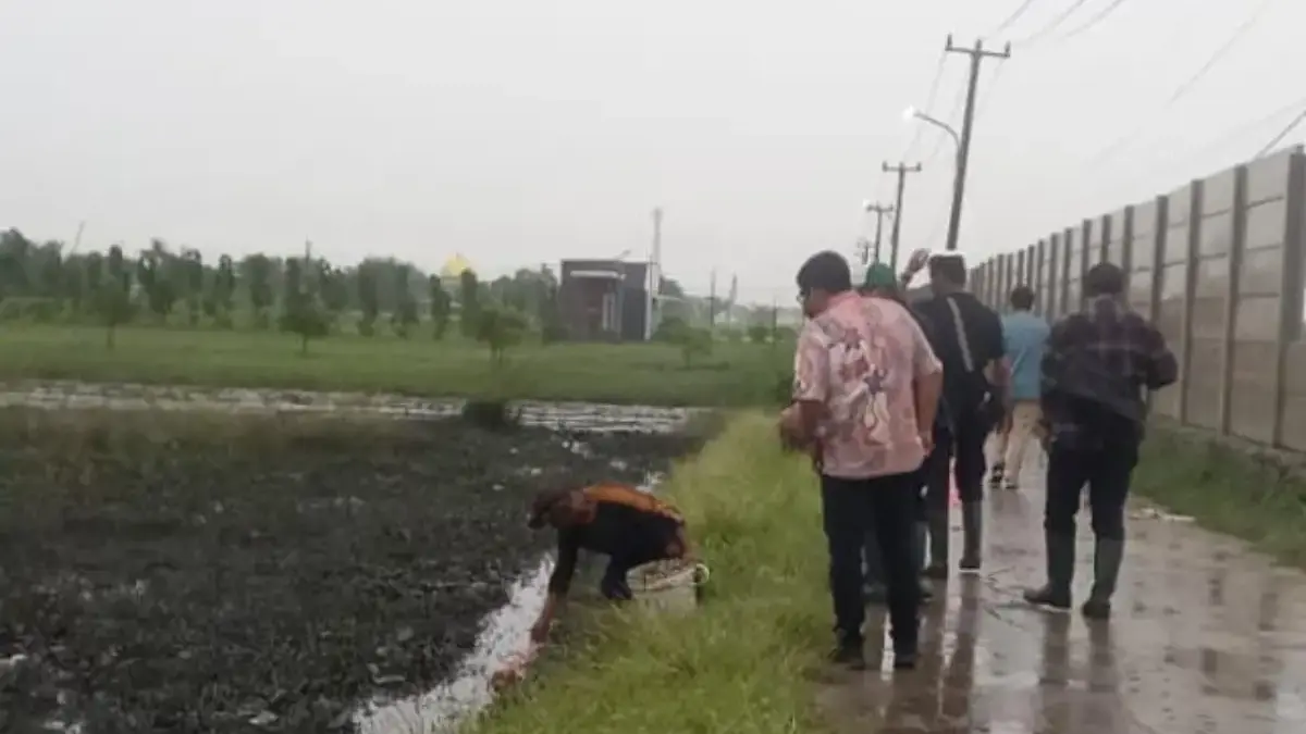 Dampak kebakaran.