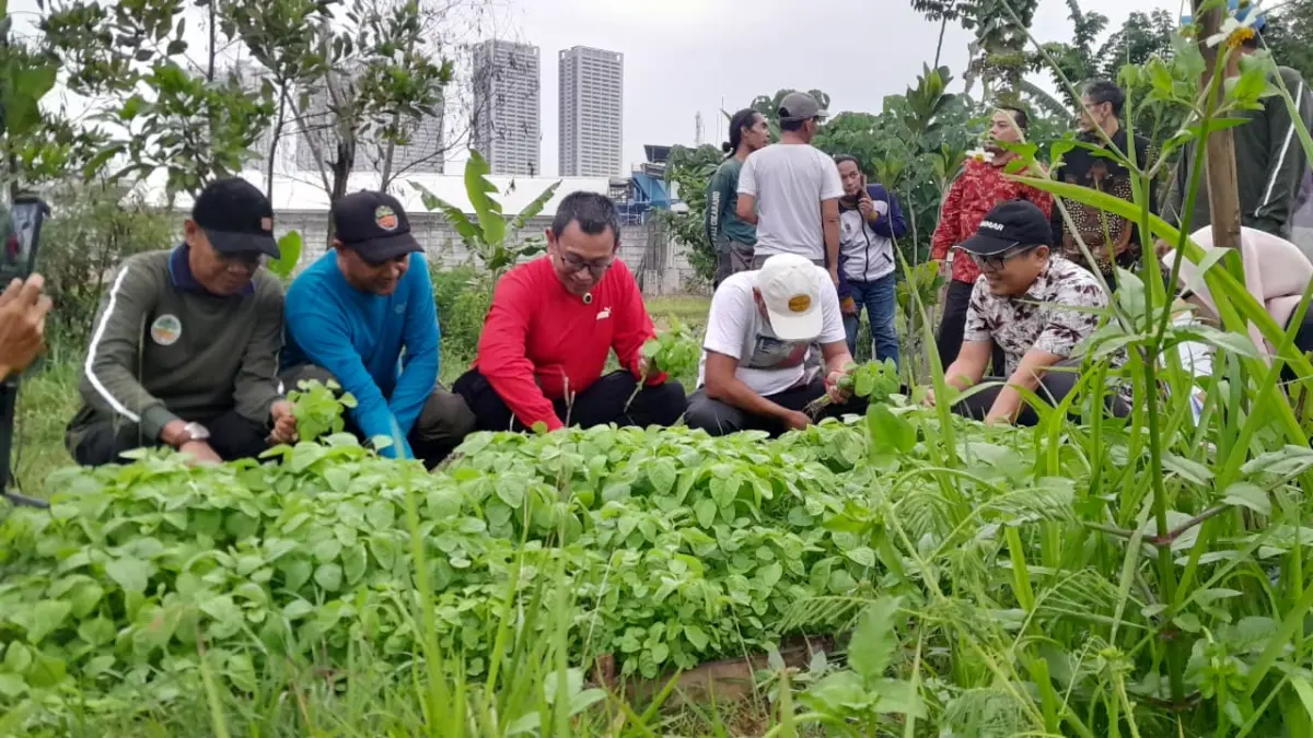 Lahan Bekas Bangunan Liar yang Digusur di Cikarang Utara Mau Dijadikan Taman Hijau  Taman hijau