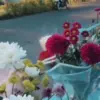 Taman Siska