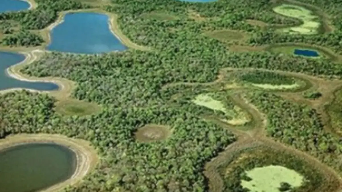 Mato grosso