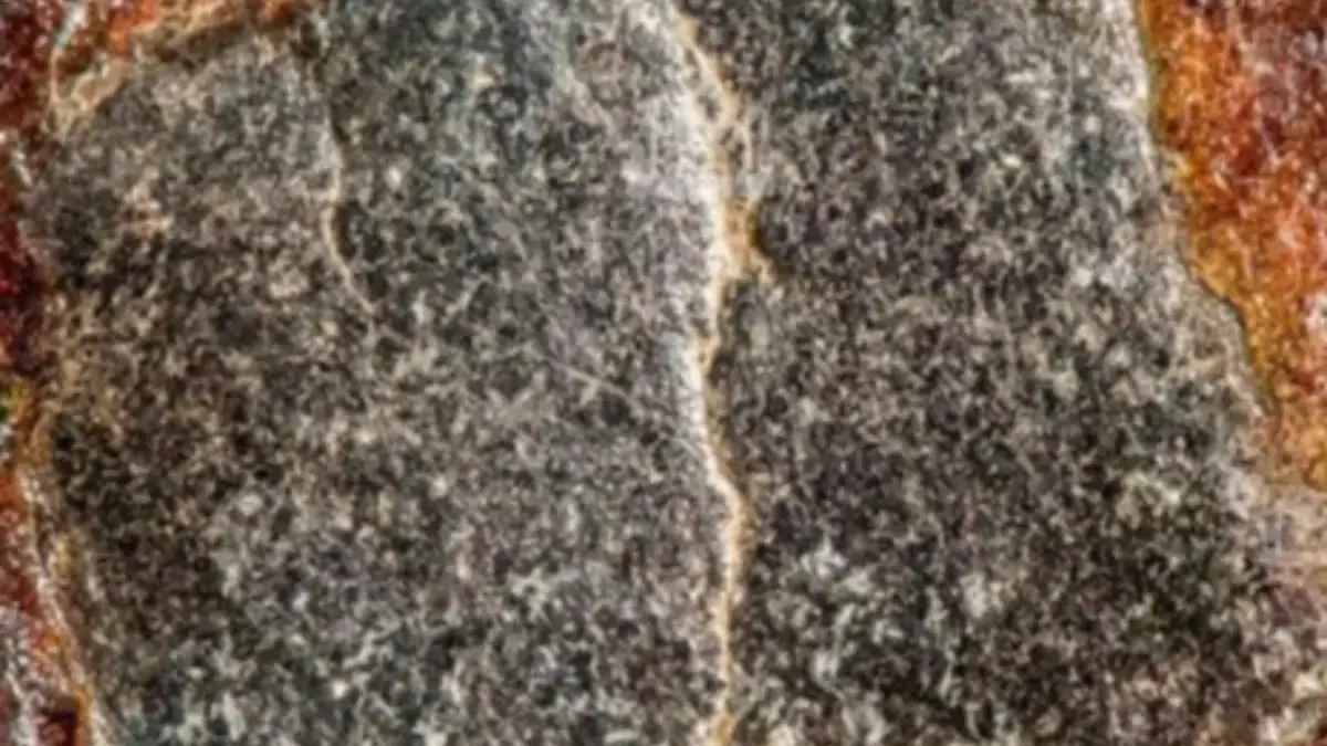 Ist