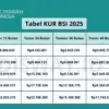 Skema Pinjaman KUR BSI 2025