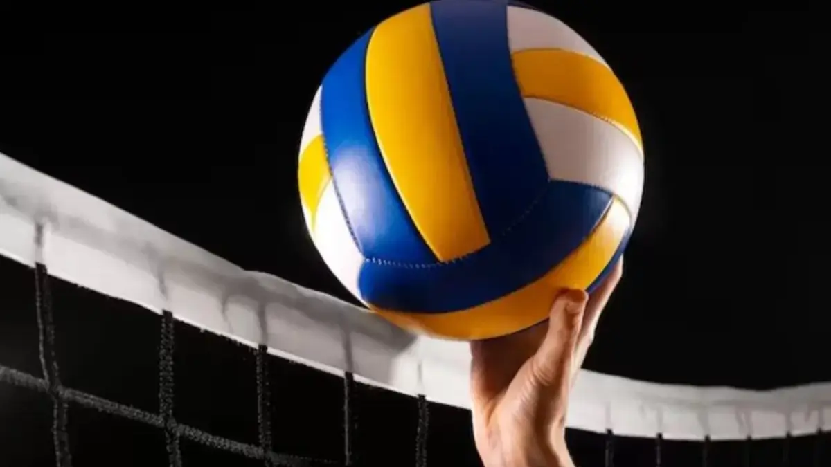 Ilustrasi Volleyball.