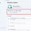 Windows 11 25H2 Bermasalah, Microsoft Konfirmasi Ada 4 Bug Serius