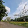 Botanical Garden Jababeka Cikarang Timur