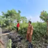 Pemdes Sukadami Gulirkan Program PKTD.
