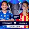 Persib Bandung