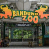 bandung zoo apakah sudah buka