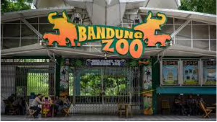 Bandung Zoo Kembali Dibuka Terbatas: Status Operasional di Tengah Imbauan Pemkot bandung zoo apakah sudah buka