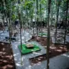 hutan jati purwakarta