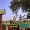 Reomendasi tempat wisata yang cocok untuk liburan keluarga di Bekasi