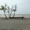 pantai karawang utara