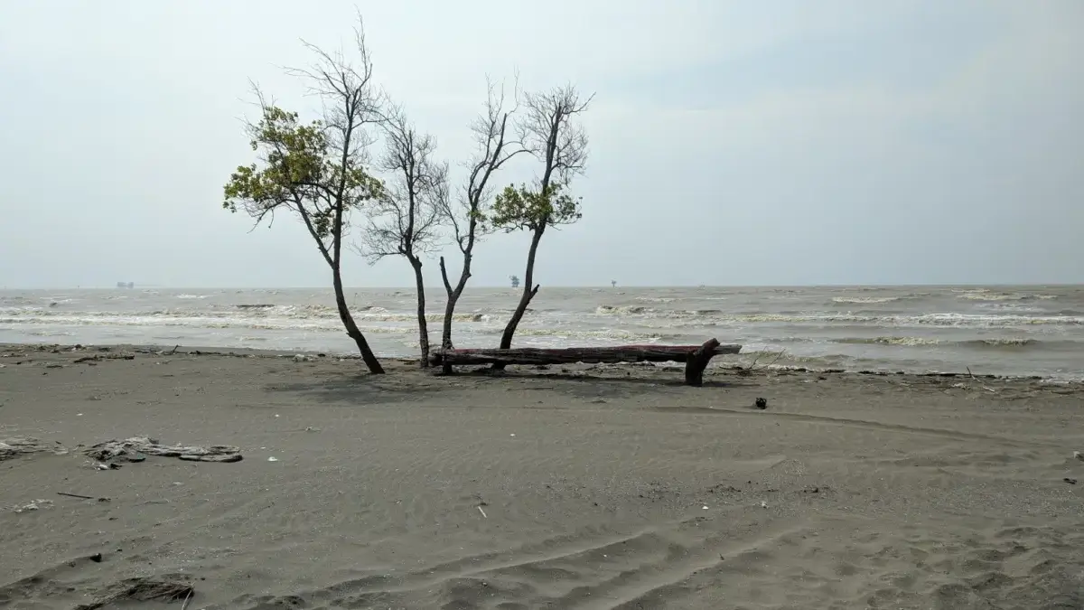 Rekomendasi Wisata Pantai Karawang Utara, Surganya Pemandangan Laut di Tengah Kota Industri pantai karawang utara