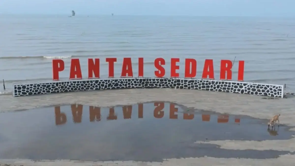 Pantai Sedari Wisata Alam: dengan Sunset Romantis, dan Kuliner Laut Lezat di Karawang Utara wisata alam di karawang utara