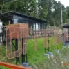 saung koffie hideung