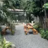 3 Rekomendasi wisata Instagramable Bekasi, yang wajib dikunjungi