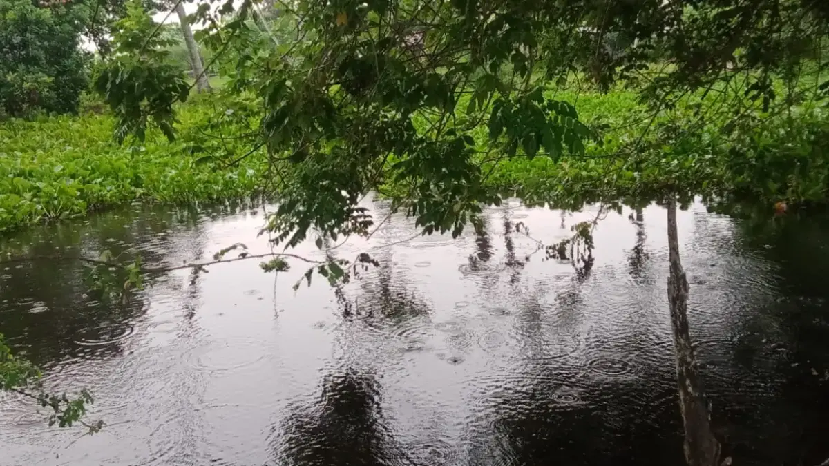 Menyatu dengan alam.