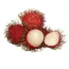 Rambutan