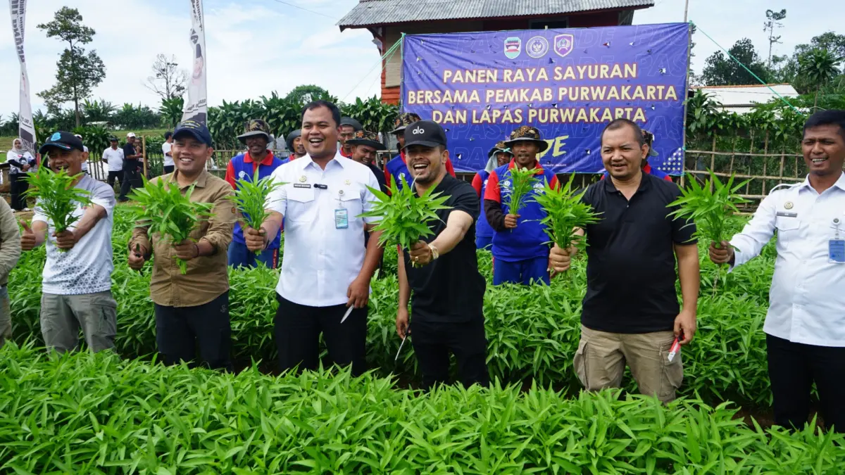 Warga Binaan Lapas IIB Purwakarta Sukses Bertani Kangkung dan Bayam di Kebun Abang Ijo Warga Binaan Lapas IIB Purwakarta Sukses Bertani Kangkung dan Bayam.