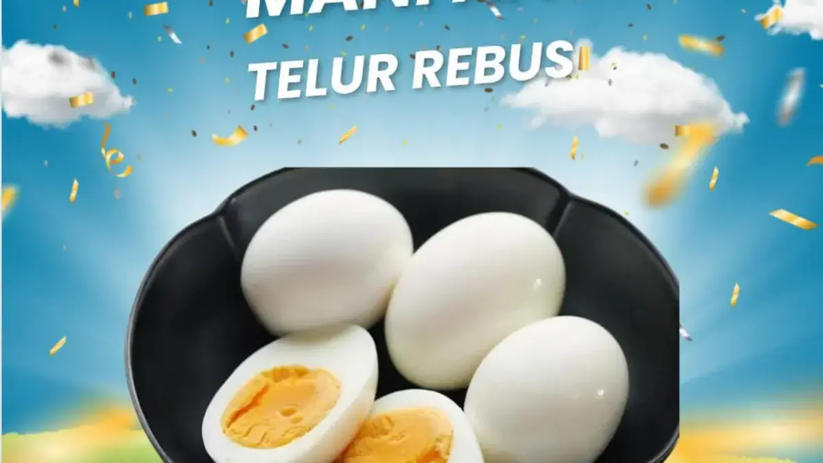 Banyak yang Tidak Suka Telur Rebus? Padahal Manfaat Telur Rebus Sangat Luar Biasa dan Sering Diremehkan! Banyak yang Tidak Suka Telur Rebus? Padahal Manfaat Telur Rebus Sangat Luar Biasa dan Sering Diremehkan!