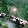 Liburan Nataru, Rekomendasi Liburan Ramah Dompet untuk Buruh Bergaji UMR: Wisata Dingin dan Terbaik Karawang Saung Koffie Hideung Karawang