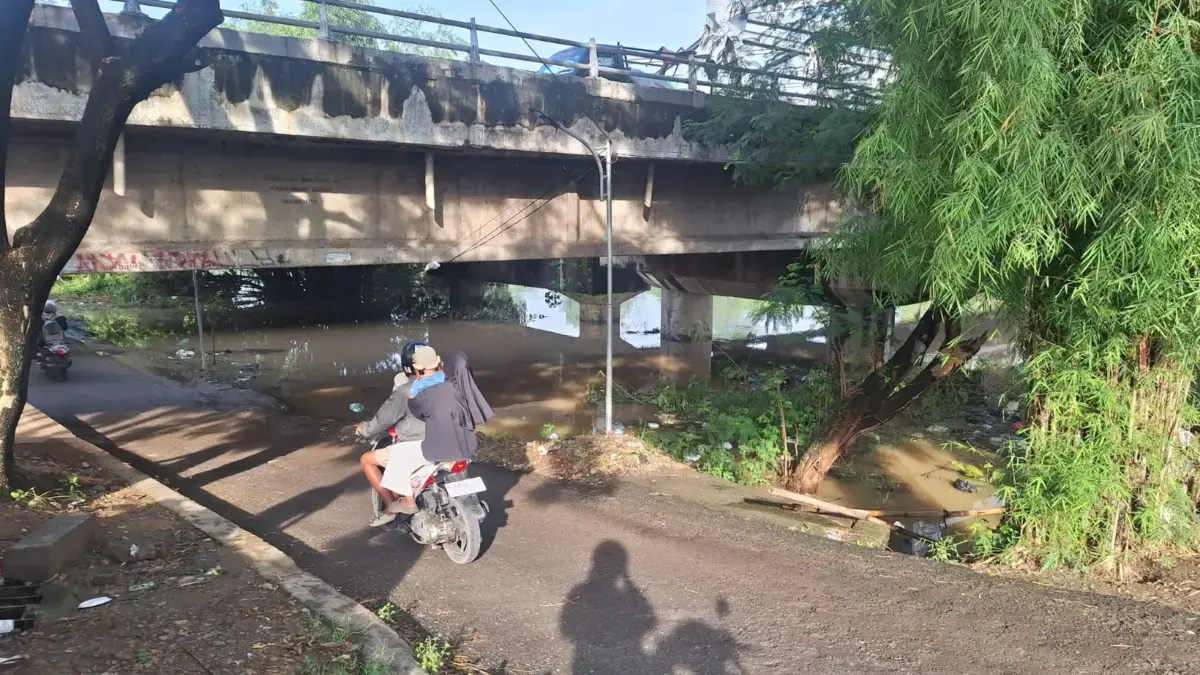 WASPADA, Hujan Merata di Purwakarta dan Cianjur Air Kirimannya Penuhi Sungai Citarum dan Cibeet di Karawang Citarum