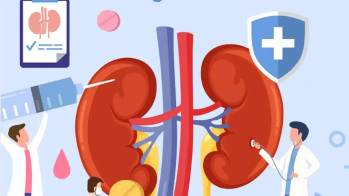 Makanan yang Sehat Bagi Ginjal