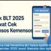 Cek BLT