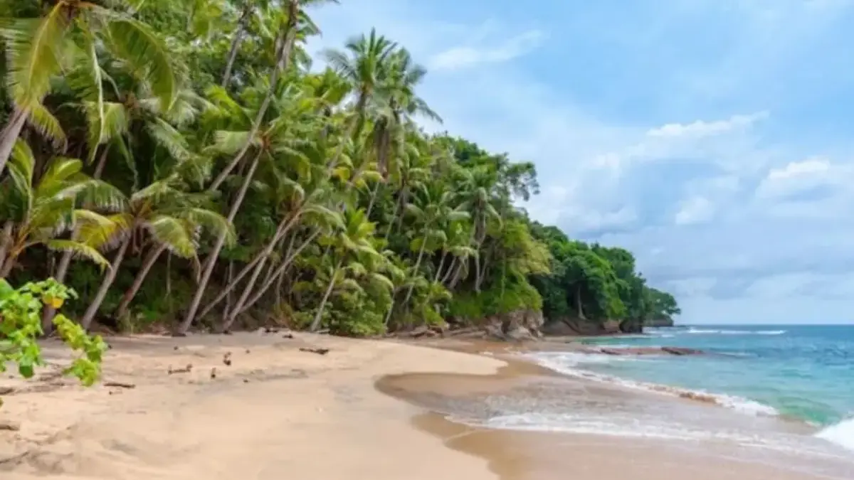 Pengen Jauh dari Kebisingan? Coba ke Beberapa Tempat Wisata Karawang Ini, Cocok untuk Kamu yang Introvert! Tempat wisata pantai yang indah di Karawang