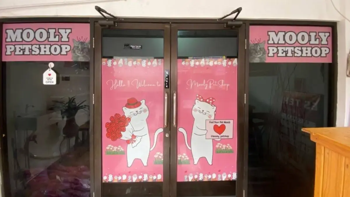 Molly Petshop Perumnas Karawang